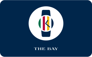 hudson bay gift card balance