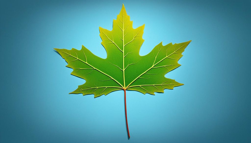 canadian prime minister term limits canadian prime minister term limits