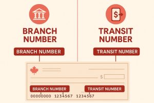 How Are Branch Number and Transit Number Different