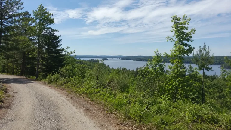 Rosseau Springs Subdivision Proposal Ontario What Is Being Proposed Near Lake Rosseau