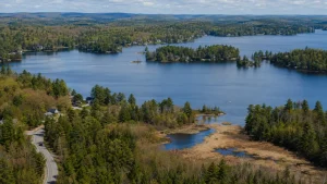 Why This Proposal Matters Beyond Rosseau